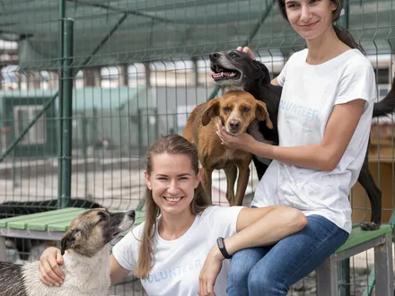 Dierenzorg